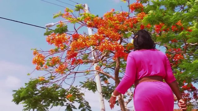 The Original Bahama Mama At Mcclean Town Sea Wall, East End Grand Bahama, Bahama