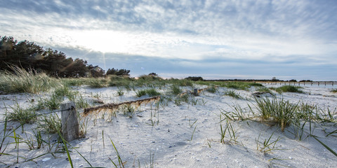 dünenlandschaft