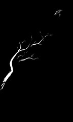 Monochrome traditional asian art. Bare branches with little bird (brush drawing).  Black background and white minimalist art