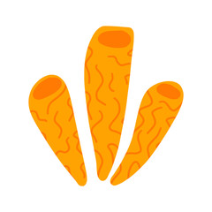 Sea coral illustration isolated on white background. Orange cartoon seaweed. Vector