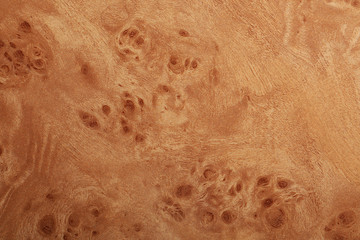 Wooden texture, closeup