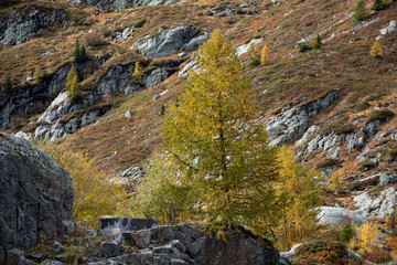 Die wunderbare Bergwelt des Wallis im Herbst