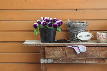 Fototapeta na wymiar Spring garden works. Repotting violas on an old garden table