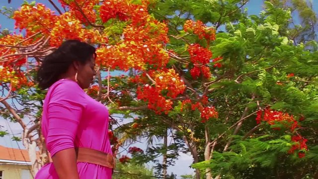 The Original Bahama Mama At Mcclean Town Sea Wall, East End Grand Bahama, Bahama