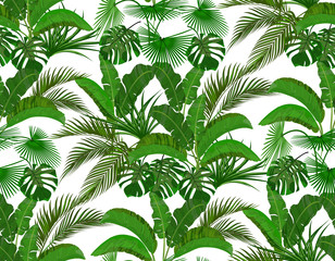 Green tropical leaves of banana, coconut, monstera and ogawa. Seamless illustration
