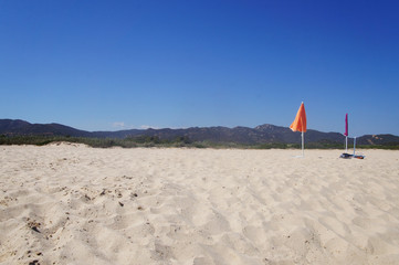 Fototapeta na wymiar Canary Islands nature. Sandy beach of the sea with an umbrella.