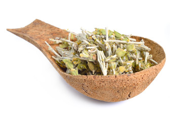 Sideritis, also known as ironwort, mountain tea and shepherd's tea. Isolated on white