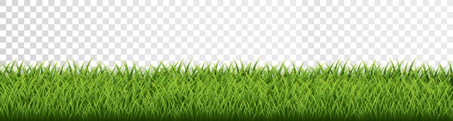 Foto op Canvas Green grass border set on transparent background. Vector Illustration © Oleh
