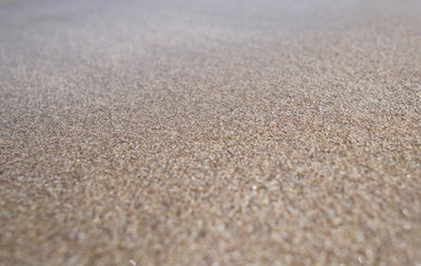 Fototapeta na wymiar Canary Islands nature. Sandy coast close up.