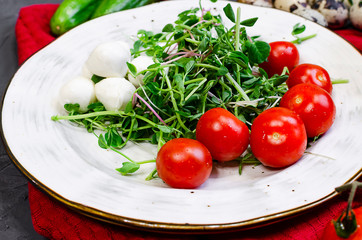 Fresh salad with chicken breast, arugula and tomato.