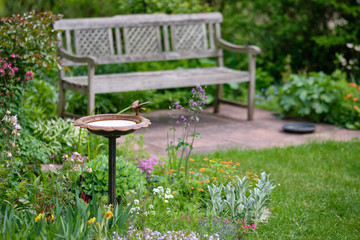 Idyllic view of a beautiful green and growing  springtime garden with flowering plants, grass and a bird bath and a wooden bench on a sunny day