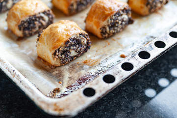 Crispy freshly baked cookies with poppy seeds on a baking tray.