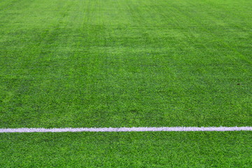 field with lines of grass soccer