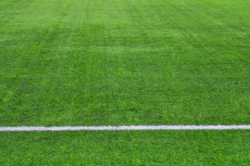 Obraz premium field with lines of grass soccer