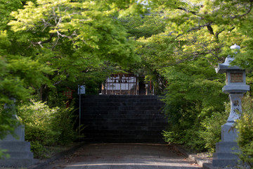 Fototapeta na wymiar 神社の階段