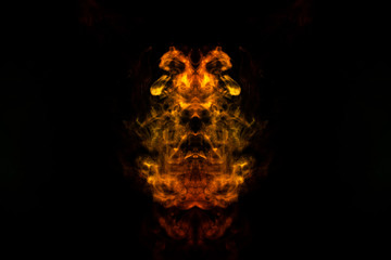 Fototapeta na wymiar Abstract image of smoke of different green, yellow, orange and red colors in the form of horror in the shape of the head, face and eye on a black isolated background. Soul and ghost in mystical symbol
