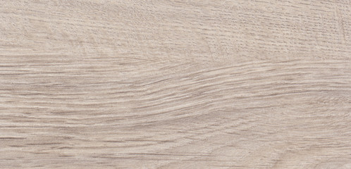 The structure of the laminate decor floor room 1386875 oak Arctic alive natural.  Design for...
