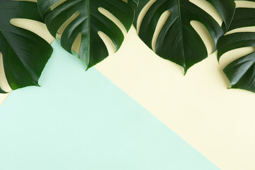 Fototapeta na wymiar Tropical palm background. Creative layout made of green tropical leaves on blue and yellow background. Minimal border, summer flat lay concept with copy space
