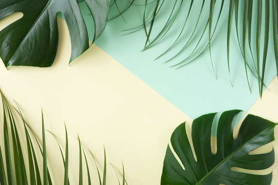 Tropical leaves Monstera on pink background. Flat lay, top view © uv_group