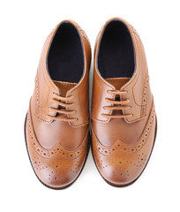 Pair of stylish leather shoes on white background