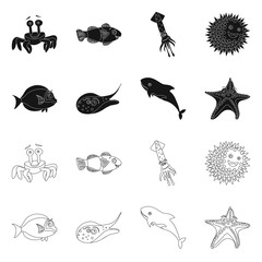 Fototapeta premium Vector design of sea and animal symbol. Collection of sea and marine stock symbol for web.