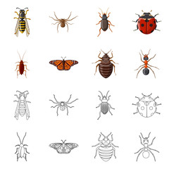 Vector design of insect and fly symbol. Set of insect and element stock symbol for web.
