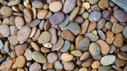 stone garden background