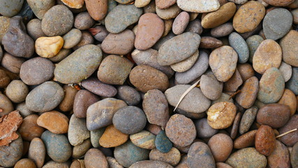 stone garden background