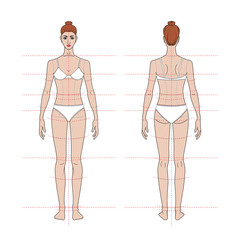 women's body proportions and measurements for clothing design and sewing. Front, back views. vector 