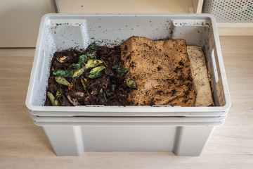 Top view of a DIY worm farm (composting bin) in an apartment