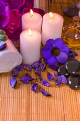 Obraz na płótnie Canvas Colorful Spa setting orchid flowers with black stones and oil place for relaxation and wellness