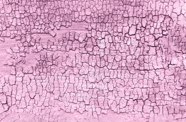 Pink old wooden texture background. Creat background with copy space