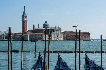 Giudecca seen from Venice 