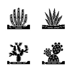 Wild cacti in ground glyph icons set