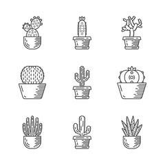 Cactuses in pots linear icons set
