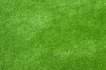 Obraz na płótnie Canvas Green grass texture for background.