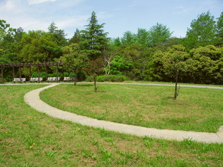 初夏の水元公園風景