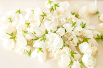 Naklejka na ściany i meble Wedding background with white flowers, view from above