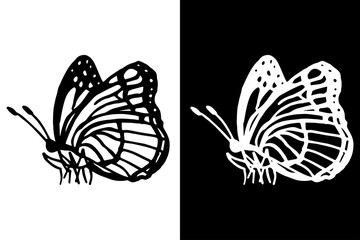 butterfly isolated hand drawn black and white sketch