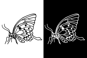 butterfly isolated hand drawn black and white sketch