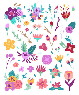 Big flowers set. Floral vector elements: blossoms, branches, botanical illustrations on white background