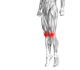 Conceptual knee human anatomy with red hot spot inflammation or articular joint pain for leg health care therapy or sport muscle concepts. 3D illustration man arthritis or bone osteoporosis disease