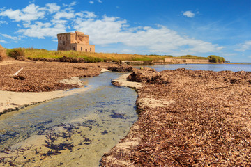 Apulia landscape: Nature Reserve of Torre Guaceto,Italy. Wellspring marine source crosses sandy...