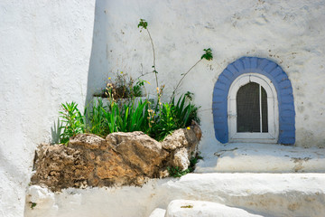 Plantas y ventana en un patio trasero con paredes blancas