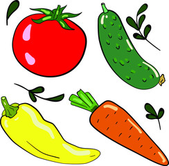 Vector color illustration with tomato, cucumber, carrot and paprika on white background. Postcard and logo design.Good for printing. 