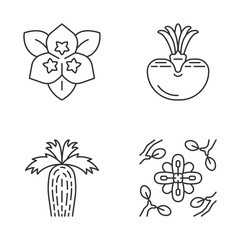 Desert plants linear icons set
