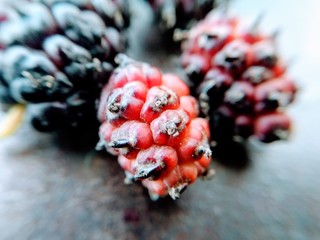 Red and Black mulberry fruit on dark background