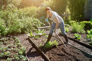 Woman in garden at gardening with a hook in planting bed on a sunny summer day
