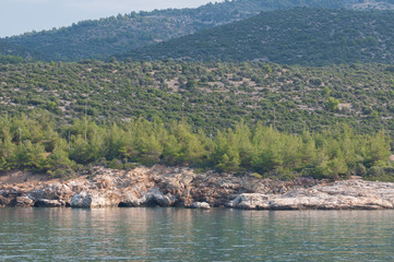 mountain view covered by olive trees seen from a boat