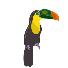 One Bird with Big beak, Toucan bird sitting with white background. Vector painting illustration on paper, animal life.Logo or banner
